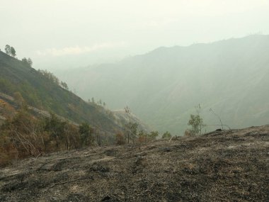 Sisli gökyüzü olan bir dağ sırası. Dağlar ağaçlarla kaplı ve gökyüzü sisli.