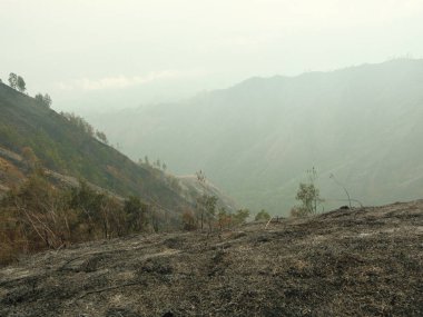 Sisli gökyüzü olan bir dağ sırası. Dağlar ağaçlarla kaplı ve gökyüzü sisli.