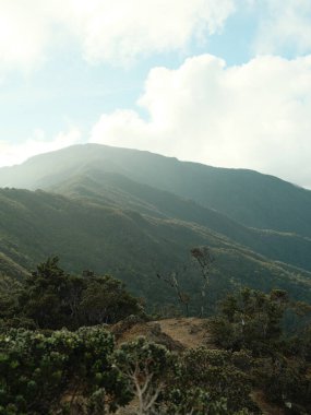 Arka planda bulutlu bir gökyüzü olan bir dağ sırası. Bulutlar beyaz ve kabarık, dağ sırası gür ve yeşildir. Huzurlu ve huzurlu bir sahne.