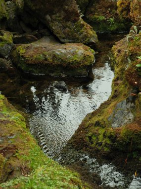 Kayalık bir alandan akan bir su akıntısı. Su berrak ve sakin ve kayalar yosunlarla kaplı. Sahne huzurlu ve sakin, su etrafındaki kayaları yansıtıyor.