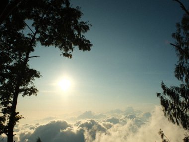 Gökyüzü birkaç bulutla mavi ve güneş parlıyor. Arka planda ağaçlar var ve gökyüzü temiz.