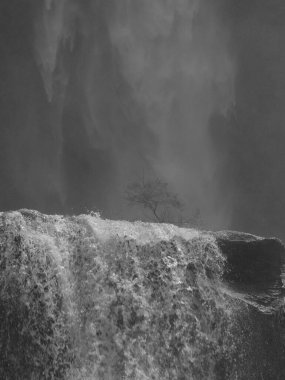 Önünde ağaç olan bir şelale. Su sabit bir akıntıya düşüyor. Görüntünün sakin ve huzurlu bir havası var.