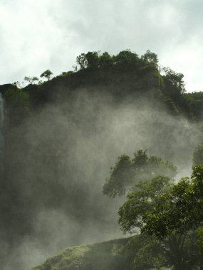 Ağaçları ve şelalesi olan sisli bir dağ. Sis yoğun ve ağaçlar yeşil.