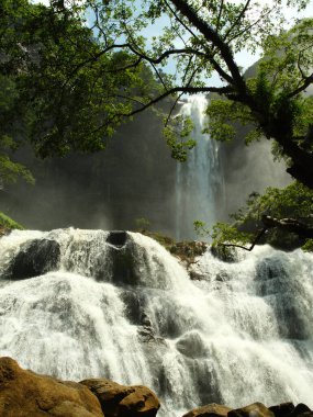 Önünde ağaç olan bir şelale. Su yüksekten düşüyor ve arka planda ağaç var.