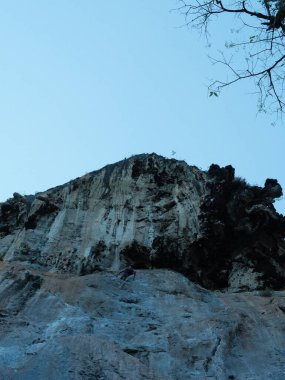 Arka planda mavi gökyüzü olan kayalık bir dağ. Dağ yosunla kaplı ve üzerinde birkaç ağaç yetişiyor.