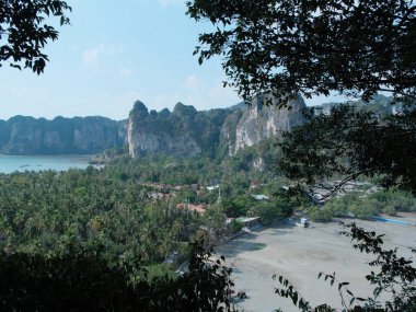 Arka planda palmiye ağaçları ve dağ olan güzel bir sahil manzarası. Kumsal boş ve gökyüzü temiz.