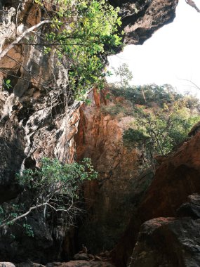 Ortasında küçük bir delik olan kayalık bir uçurum. Açıklık ağaçlarla çevrili ve çok fazla güneş ışığı var.