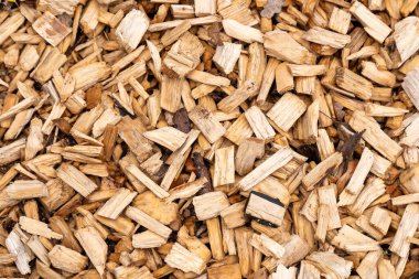 Biraz odun parçasına yaklaş.