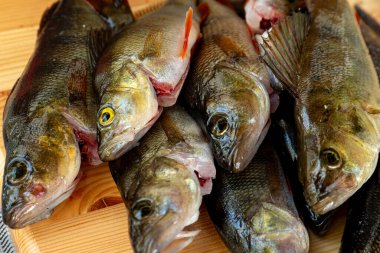 Tahta kesme tahtasındaki birçok levrek balığını kapatın.