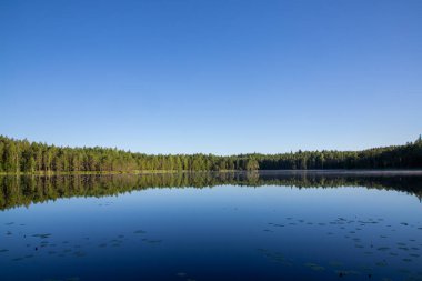 Güzel göl manzaralı mavi gökyüzü ve daima yeşil ağaçlar
