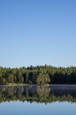 Güzel göl manzaralı mavi gökyüzü ve daima yeşil ağaçlar