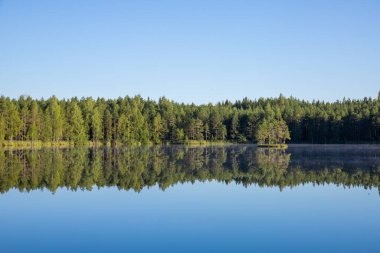 Güzel göl manzaralı mavi gökyüzü ve daima yeşil ağaçlar