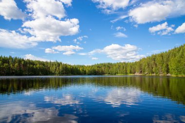 Finlandiya 'nın güzel dantel manzarası. yeşil ağaçlar ve mavi gökyüzü