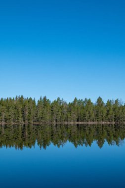 Güzel bir göl manzarası. Su ormanı yansıtıyor.