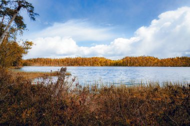 Finlandiya 'da güzel bir Autumna göl manzarası