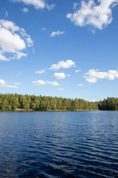 Finlandiya 'nın güzel dantel manzarası. yeşil ağaçlar ve mavi gökyüzü