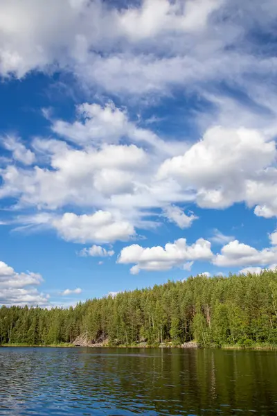 Finlandiya 'nın güzel dantel manzarası. yeşil ağaçlar ve mavi gökyüzü