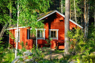 Finlandiya 'da bir ormanın ortasında güzel bir kırmızı kulübe.