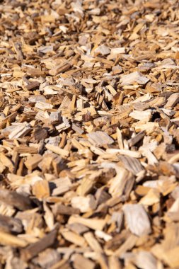 A bunch of wood chip clipart