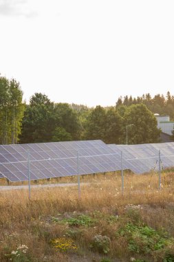 Gün batımında açık havada bazı güneş panelleri.