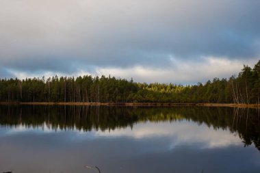 Finlandiya 'da güzel bir göl manzarası. Su gökyüzünü ve ormanı yansıtıyor.