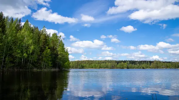 Finlandiya 'dan bir Göl manzarası