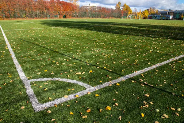 Futbol sahasının sonbahar yapraklı bir köşesi.