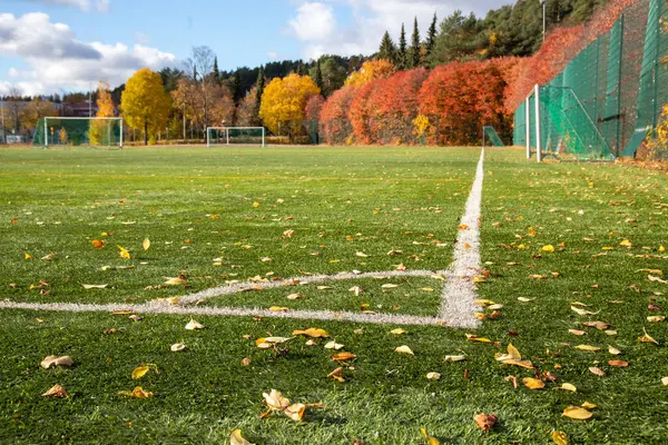 Futbol sahasının sonbahar yapraklı bir köşesi.