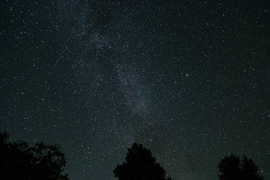 Yıldızlar ve galaksiler uzayın dışında gece bazı ağaç tepeleriyle