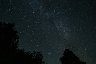 Yıldızlar ve galaksiler uzayın dışında gece bazı ağaç tepeleriyle