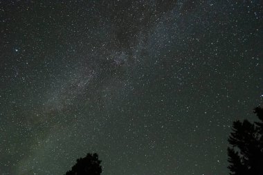 Yıldızlar ve galaksiler uzayın dışında gece bazı ağaç tepeleriyle