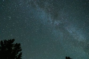 Yıldızlar ve galaksiler uzayın dışında gece bazı ağaç tepeleriyle