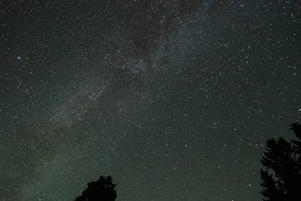 Yıldızlar ve galaksiler uzayın dışında gece bazı ağaç tepeleriyle