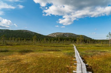 Dalgalı yeşil bir bataklıkta ahşap bir yürüyüş yolu. Mavi gökyüzünün altındaki uzak kayalık tepelere açılıyor.