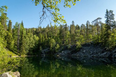 Serene Ormanı Gölü Berrak Mavi Gökyüzünün Altındaki Yeşil Ağaçları Yansıtıyor