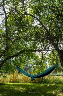 Güneşli bir günde yemyeşil ağaçların altındaki hamağı rahatlatıyor.