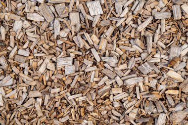 Doğal Arkaplan için Ağaç Kırıntıları Dağılmış Yüzey Deseni