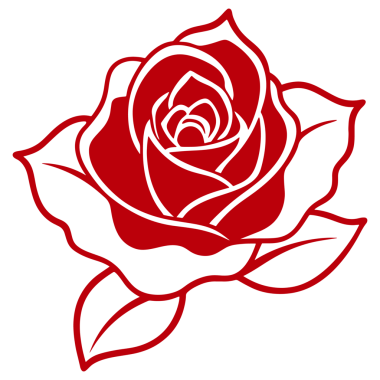 Vektör çizimi. Yapraklı kırmızı gül.