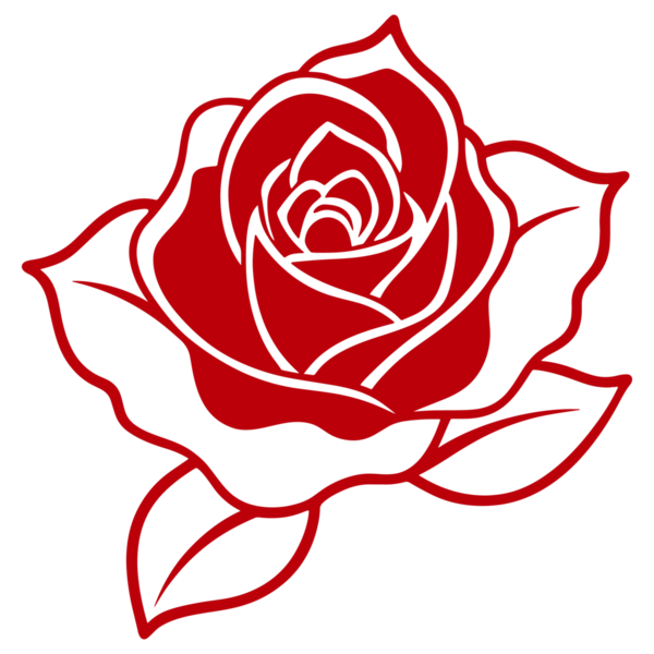 Vektör çizimi. Yapraklı kırmızı gül.