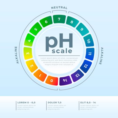 Düz tasarım ph ölçekli bilgi vektörü resmi