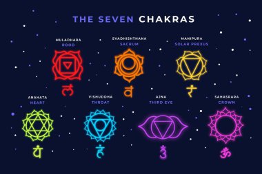 Colorful chakras concept vector image