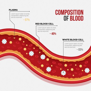 El çizimi kan infografik vektör resmi