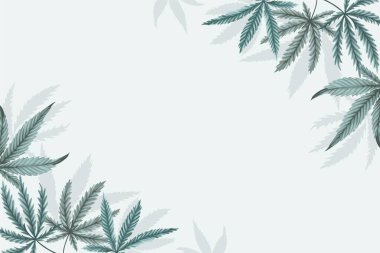 Botanical cannabis leaf background vector image clipart