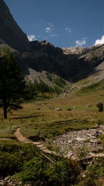 Fotoğrafçılık resimleri doku varlık sanatı