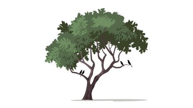 A lush, green tree with dense foliage. The tree has a strong trunk and several branches, some of which are thick and others slender. clipart