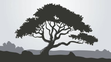 Manzaradaki Görkemli Ağacın Silueti