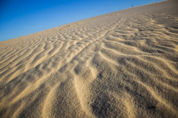 Doğanın güzel manzarası