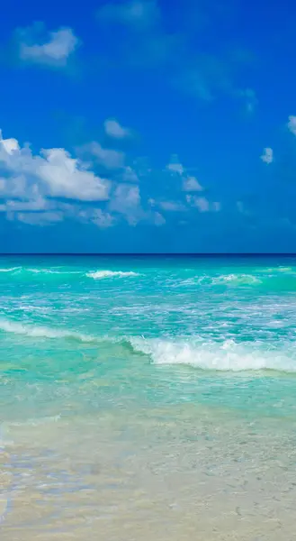 Deniz ve kumsalı olan tropikal bir ada.