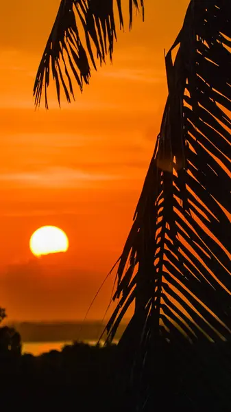 Deniz ve kumsalı olan tropikal bir ada.
