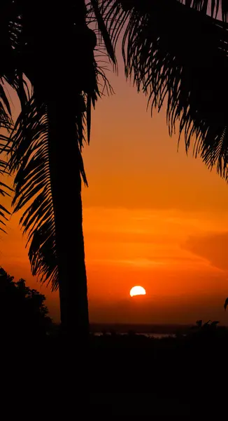 Deniz ve kumsalı olan tropikal bir ada.
